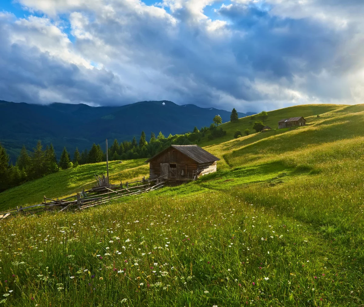 Cena tego jak kupić odblaskowy paracord