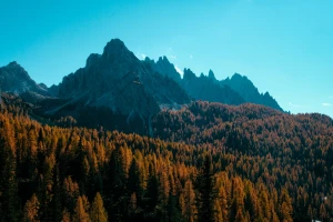 Nowe dane jak raportować do BDO i KOBIZE
