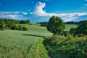 10 informacji jak kupić wyposażenie domu